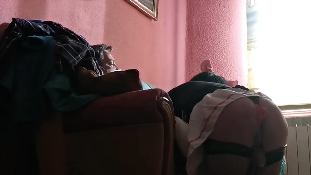 La cerda 2 cross dresser shemale hd